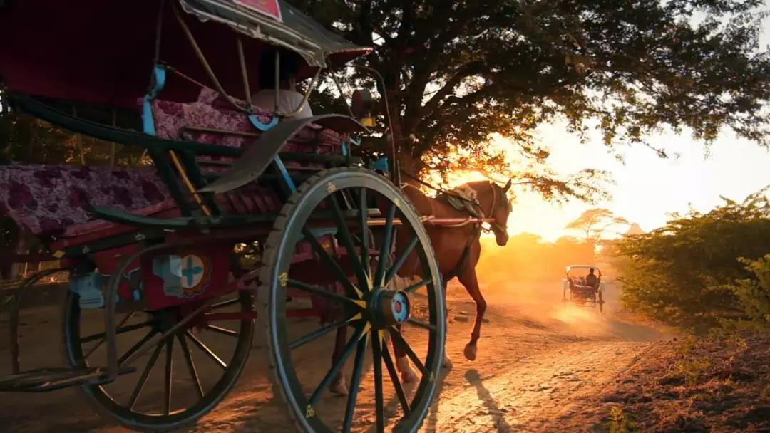 小(xiǎo)馬車(chē)巡遊