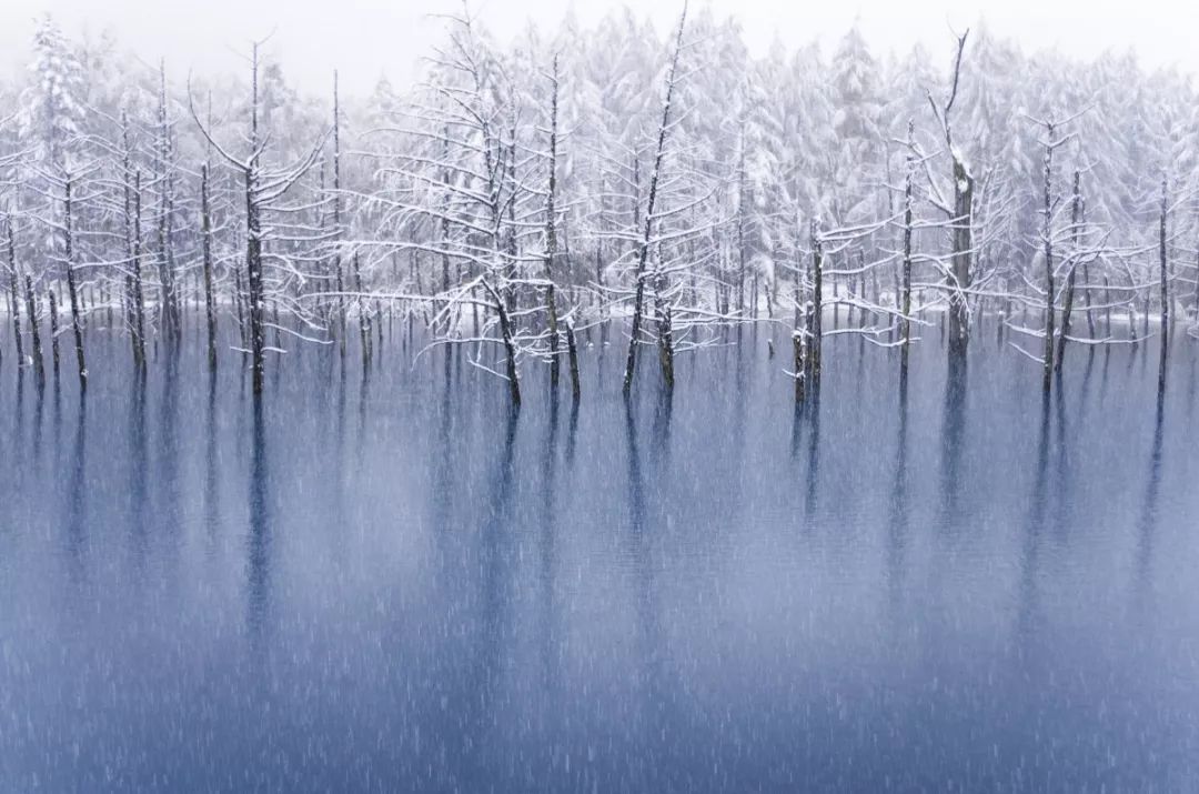 如(rú)果隻能(néng)去(qù)一(yī)次日(rì)本，我選擇冬天的(de)北(běi)海(hǎi)道(dào)...